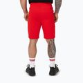 Pantaloni scurți pentru bărbați Pitbull Dogwood Sport fluo/red 4