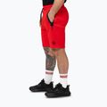 Pantaloni scurți pentru bărbați Pitbull Dogwood Sport fluo/red 5
