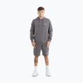 Hanorac pentru bărbați  Pitbull Sampson Hooded Sweatshirt graphite 2
