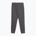 Pantaloni pentru bărbați Pitbull Sampson Track Pants graphite 2