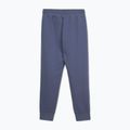Pantaloni pentru bărbați Pitbull Sampson Track Pants navy jeans 2