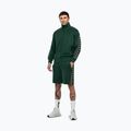 Bluză pentru bărbați  Pitbull Track Jacket Powers bottle green 2