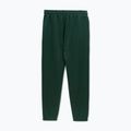 Pantaloni pentru bărbați Pitbull Track Pants Powers bottle green 2