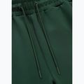 Pantaloni pentru bărbați Pitbull Track Pants Powers bottle green 3