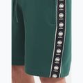 Pantaloni scurți pentru bărbați Pitbull Track Shorts Powers bottle green 3