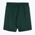 Pantaloni scurți pentru bărbați Pitbull Track Shorts Powers bottle green 2
