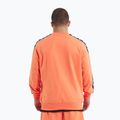 Bluză pentru bărbați  Pitbull Tape Nugget Crewneck Sweatshirt bright salmon 3