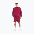 Bluză pentru bărbați  Pitbull Tape Nugget Crewneck Sweatshirt burgundy 2