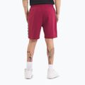 Pantaloni scurți pentru bărbați Pitbull Tape Nugget burgundy 3