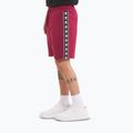 Pantaloni scurți pentru bărbați Pitbull Tape Nugget burgundy 4