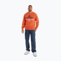 Bluză pentru bărbați Pitbull Surfing Dog Crewneck Sweatshirt bright salmon 2