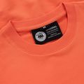 Bluză pentru bărbați Pitbull Dog Sd Crewneck Sweatshirt bright salmon 3