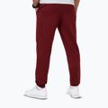 Pantaloni pentru bărbați Pitbull Nugget Jogging burgundy 2