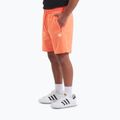 Pantaloni scurți pentru bărbați Pitbull Nugget bright salmon 4