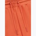 Pantaloni scurți pentru bărbați Pitbull Nugget bright salmon 3