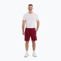 Pantaloni scurți pentru bărbați Pitbull Nugget burgundy 2