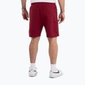 Pantaloni scurți pentru bărbați Pitbull Nugget burgundy 3
