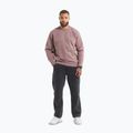 Bluză pentru bărbați Pitbull Lancaster 2 Crewneck Sweatshirt washed burgundy 2