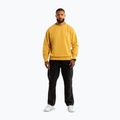 Bluză pentru bărbați Pitbull Lancaster 2 Crewneck Sweatshirt washed yellow 2