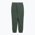 Pantaloni pentru bărbați Pitbull Lancaster 2 Track Pants sage green 5