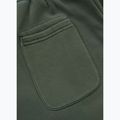 Pantaloni pentru bărbați Pitbull Lancaster 2 Track Pants sage green 9