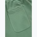 Pantaloni pentru bărbați Pitbull Lancaster 2 Track Pants washed green 8