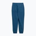 Pantaloni pentru bărbați Pitbull Lancaster 2 Track Pants shade blue 8