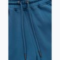 Pantaloni pentru bărbați Pitbull Lancaster 2 Track Pants shade blue 9