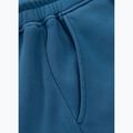 Pantaloni pentru bărbați Pitbull Lancaster 2 Track Pants shade blue 11