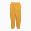 Pantaloni pentru bărbați Pitbull Lancaster 2 Track Pants washed yellow 7