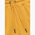 Pantaloni pentru bărbați Pitbull Lancaster 2 Track Pants washed yellow 8