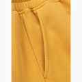 Pantaloni pentru bărbați Pitbull Lancaster 2 Track Pants washed yellow 10