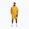 Pantaloni scurți pentru bărbați Pitbull Lancaster 2 washed yellow 2
