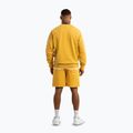 Pantaloni scurți pentru bărbați Pitbull Lancaster 2 washed yellow 4