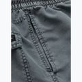 Pantaloni scurți de baie pentru bărbați Pitbull Balfour field grey 7