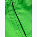 Pantaloni scurți de baie pentru bărbați Pitbull Crownhill fluo green 6