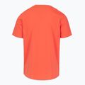 Tricou pentru bărbați Pitbull Palms bright salmon 5