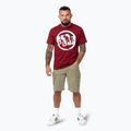 Tricou pentru bărbați Pitbull Logo Palms burgundy 2