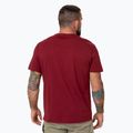 Tricou pentru bărbați Pitbull Logo Palms burgundy 3