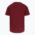 Tricou pentru bărbați Pitbull Logo Palms burgundy 5