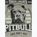 Tricou pentru bărbați Pitbull Troublemarker dusty salvia 5