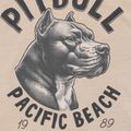 Tricou pentru bărbați Pitbull Pacyfic ultra light sand 8