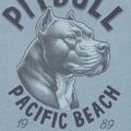 Tricou pentru bărbați Pitbull Pacyfic blue 5