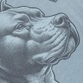 Tricou pentru bărbați Pitbull Pacyfic blue 6