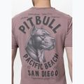 Tricou pentru bărbați Pitbull Pacyfic dusty burgundy 3