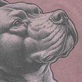 Tricou pentru bărbați Pitbull Pacyfic dusty burgundy 6