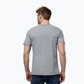 Tricou pentru bărbați Pitbull Open Beach grey 3