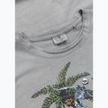 Tricou pentru bărbați Pitbull Open Beach grey 3