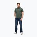 Tricou polo pentru bărbați Pitbull Washed Polo sage green 2