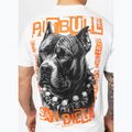 Tricou pentru bărbați Pitbull Blacky white 4